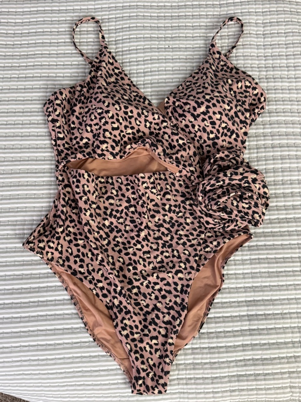 Aerie Leopard Print One-Piece Swimsuit